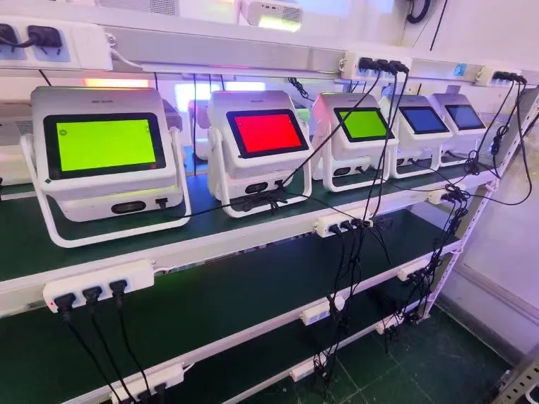 Display burn-in test — portable projectors