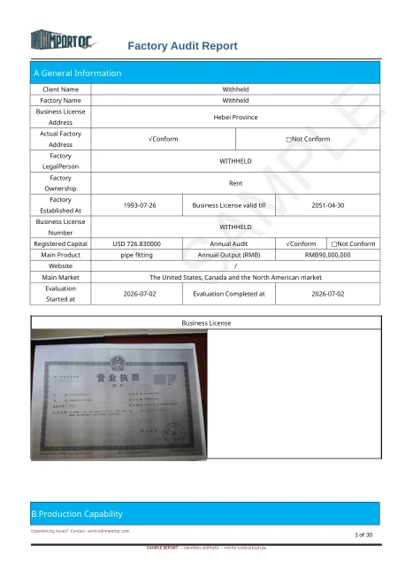 Page 1 of the Pipe Fittings Audit sample report