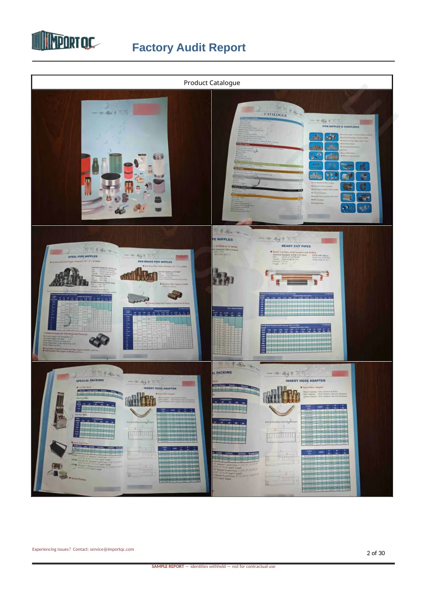 Interior page of the Pipe Fittings Audit sample report