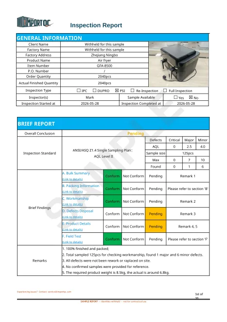First page of the Air Fryer sample report