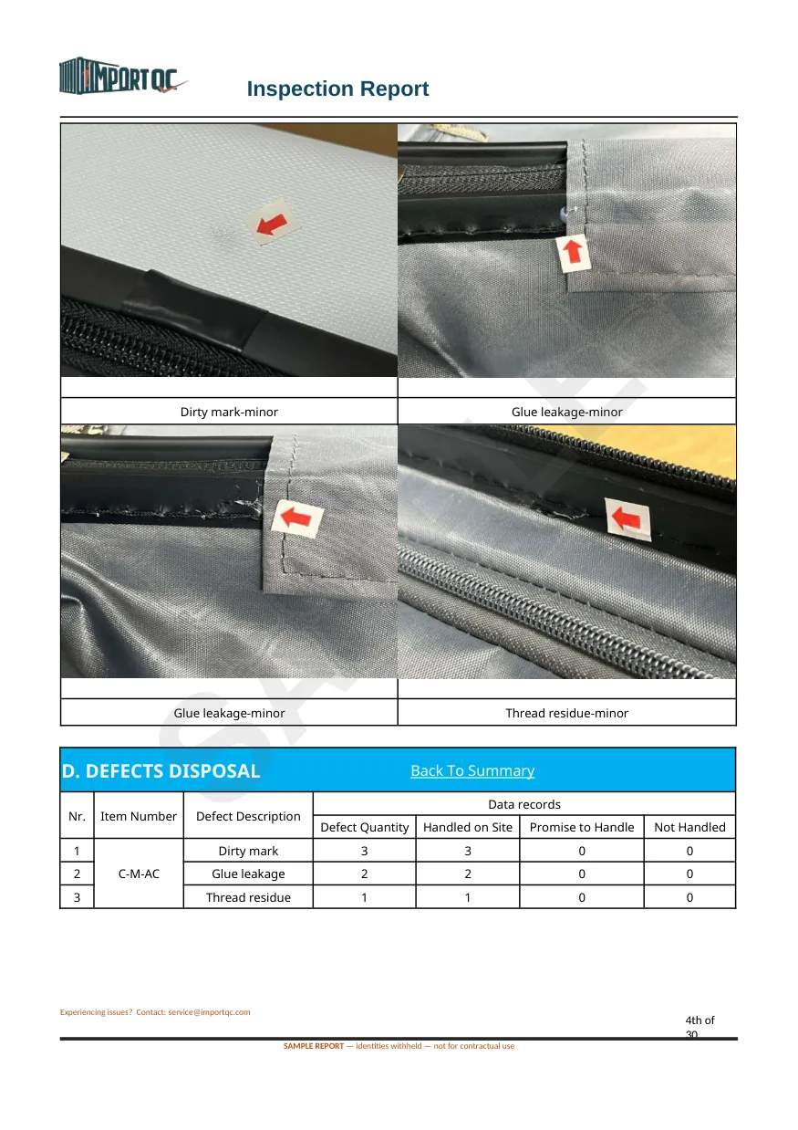 Interior page of the Suitcase sample report